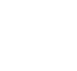 Service Disabled Veteran Owned Small Business